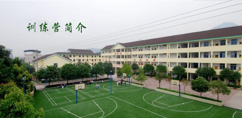 1601252096196011.jpg 1510207532557653.jpg